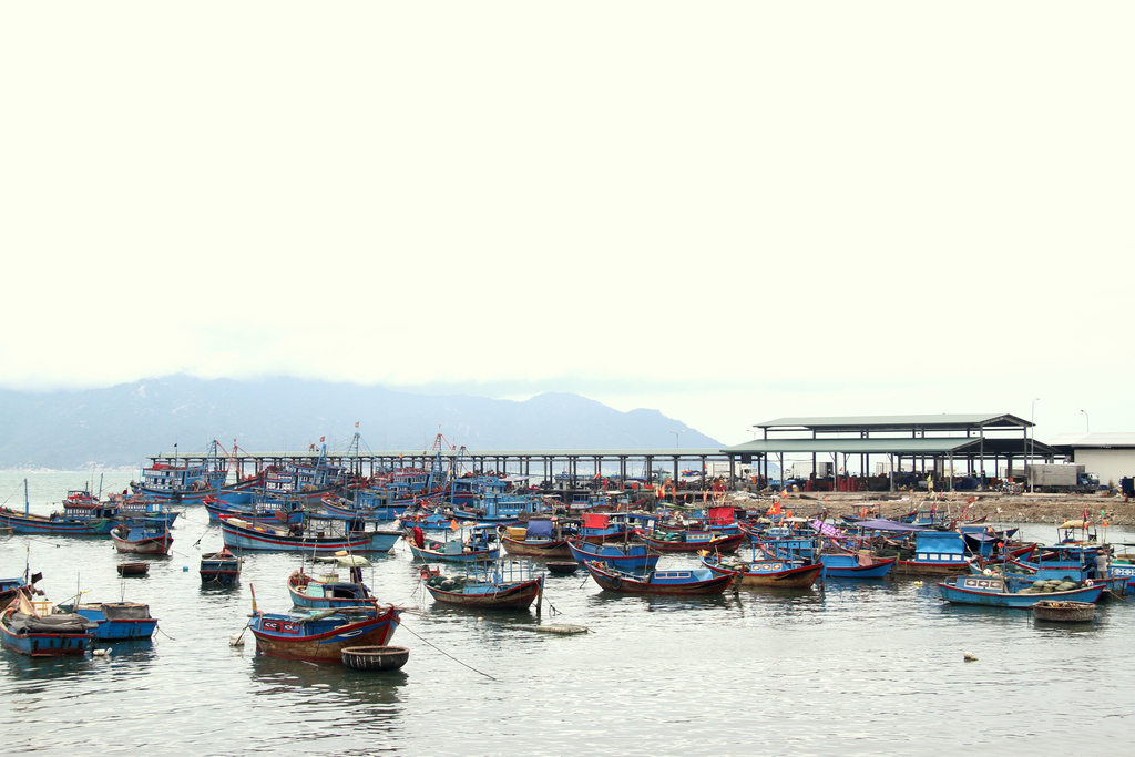 Toàn cảnh cảng cá Vĩnh Lương